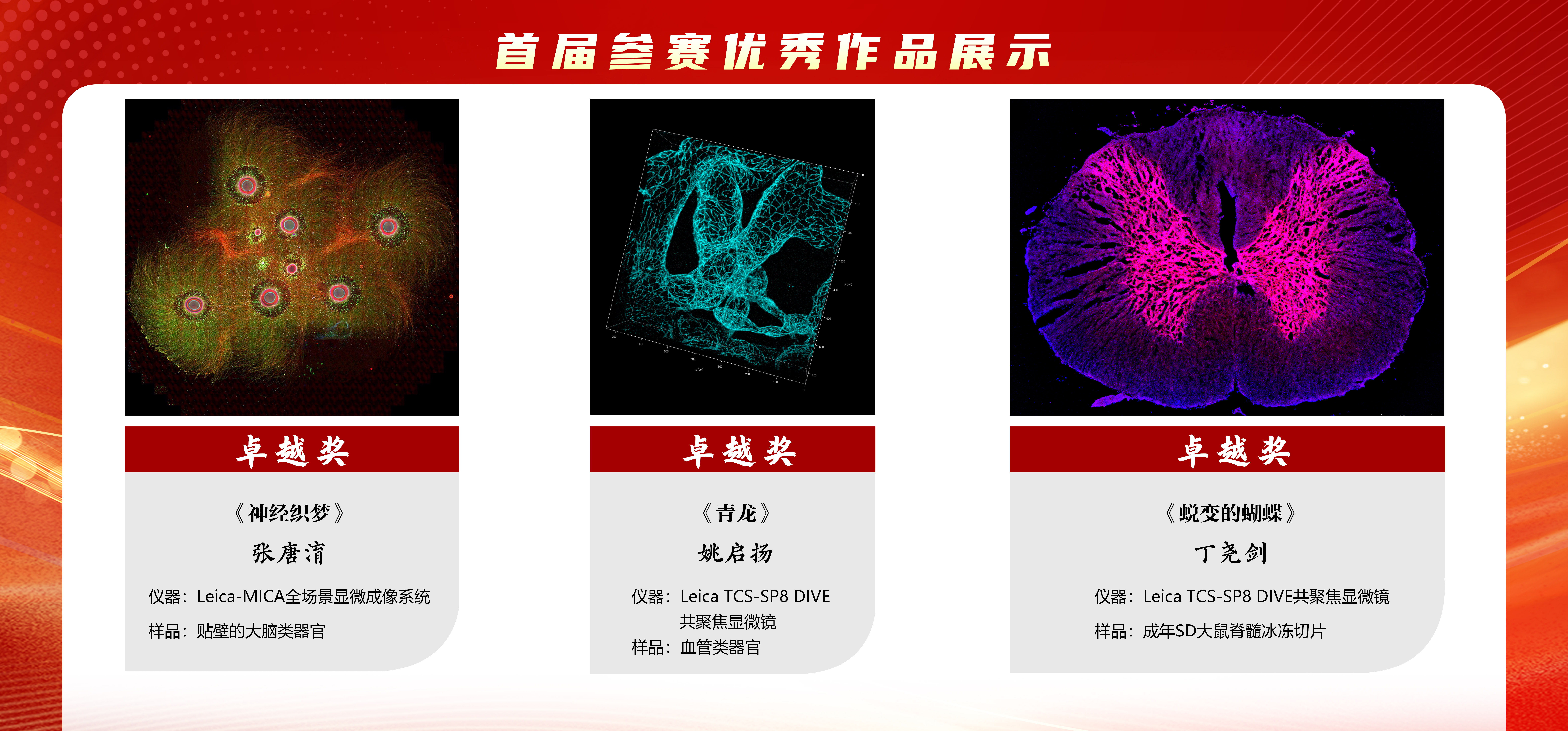 5b2f875aa9444ffc841d94d16b69f3a4.jpg